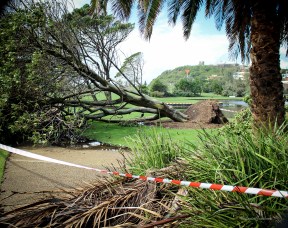 Foreshore park (1 of 1)