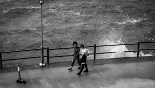 walkers get caught 1 (1 of 1)